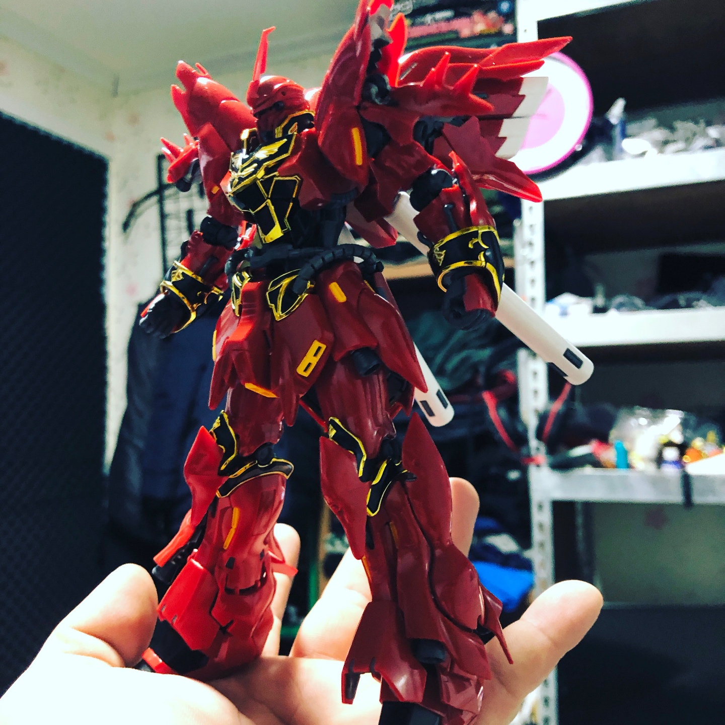 RG 시난주