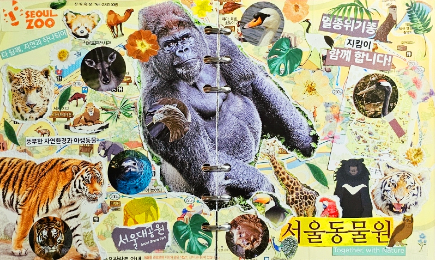 서울동물원 다꾸