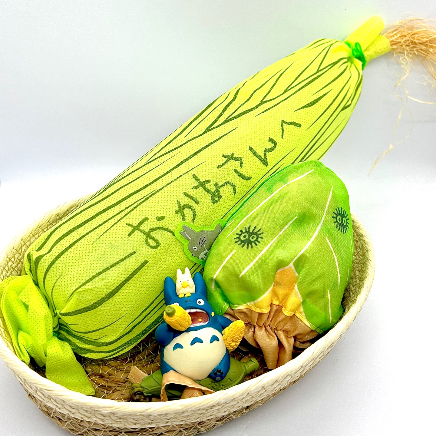 [이웃집 토토로] 옥시시가 왔어요 ₍₍ (ง ˙o˙)ว ⁾⁾