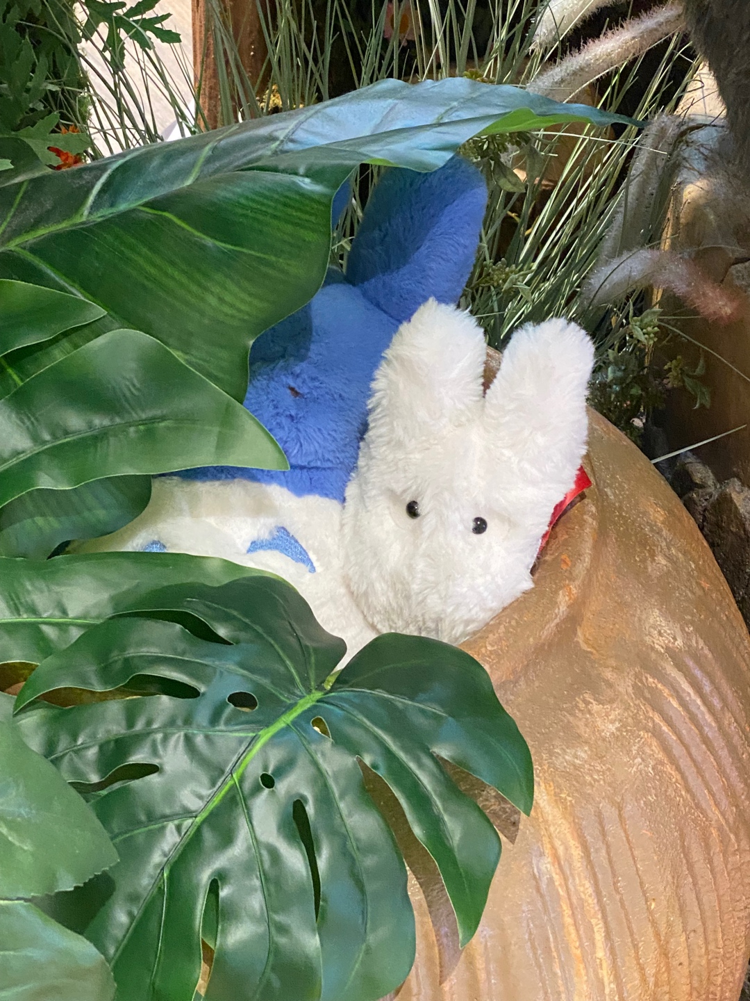 드디어 잠토리숲을 탐방하고 왔습니당🌳🌼