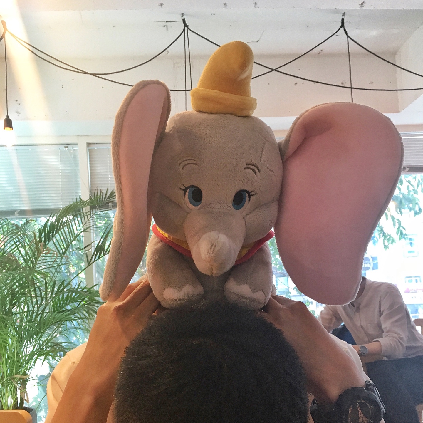 아기코끼리 덤보