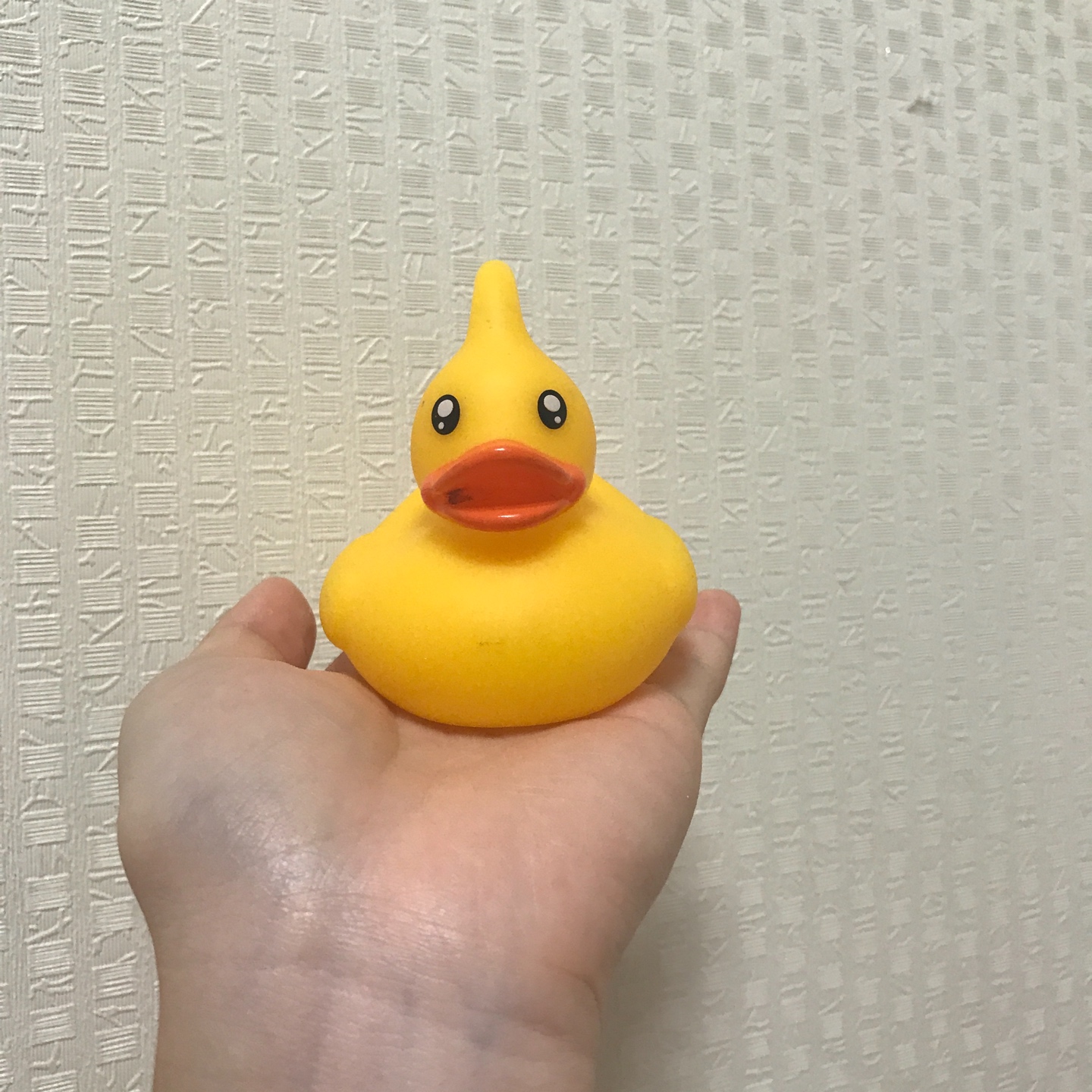 🐤오리🐤