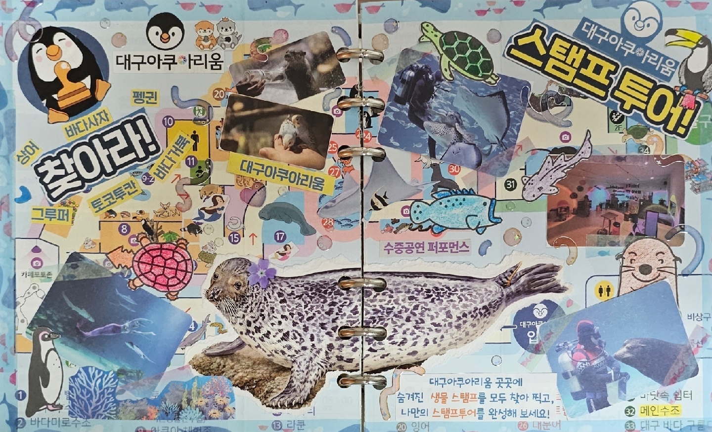 대구아쿠아리움 다꾸