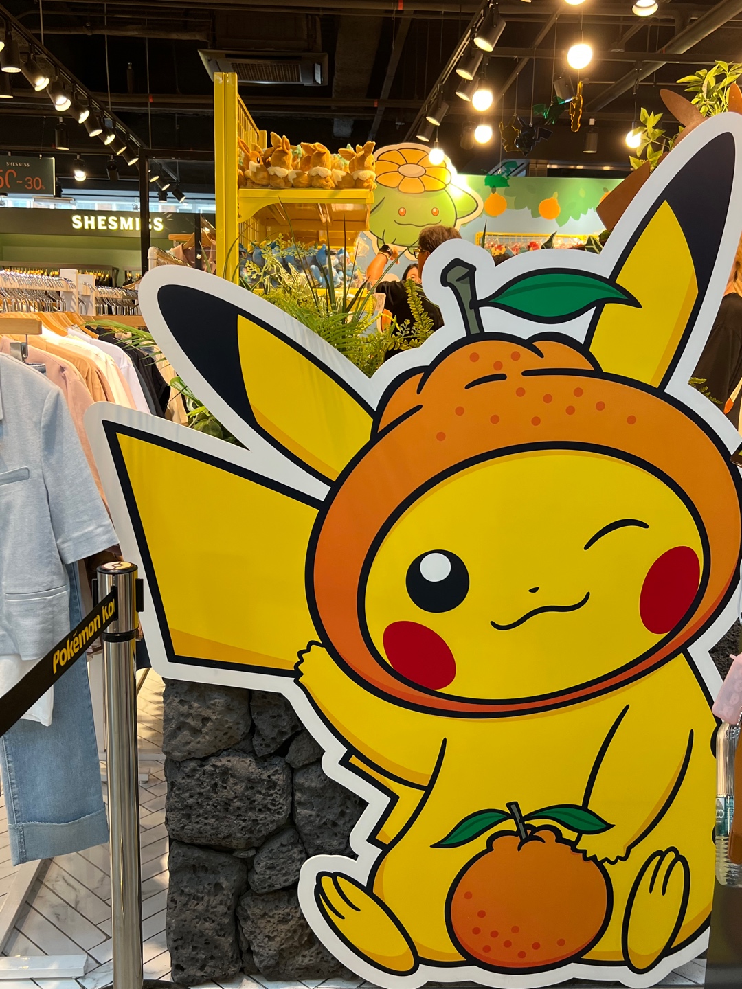 포켓몬 스토어 제주