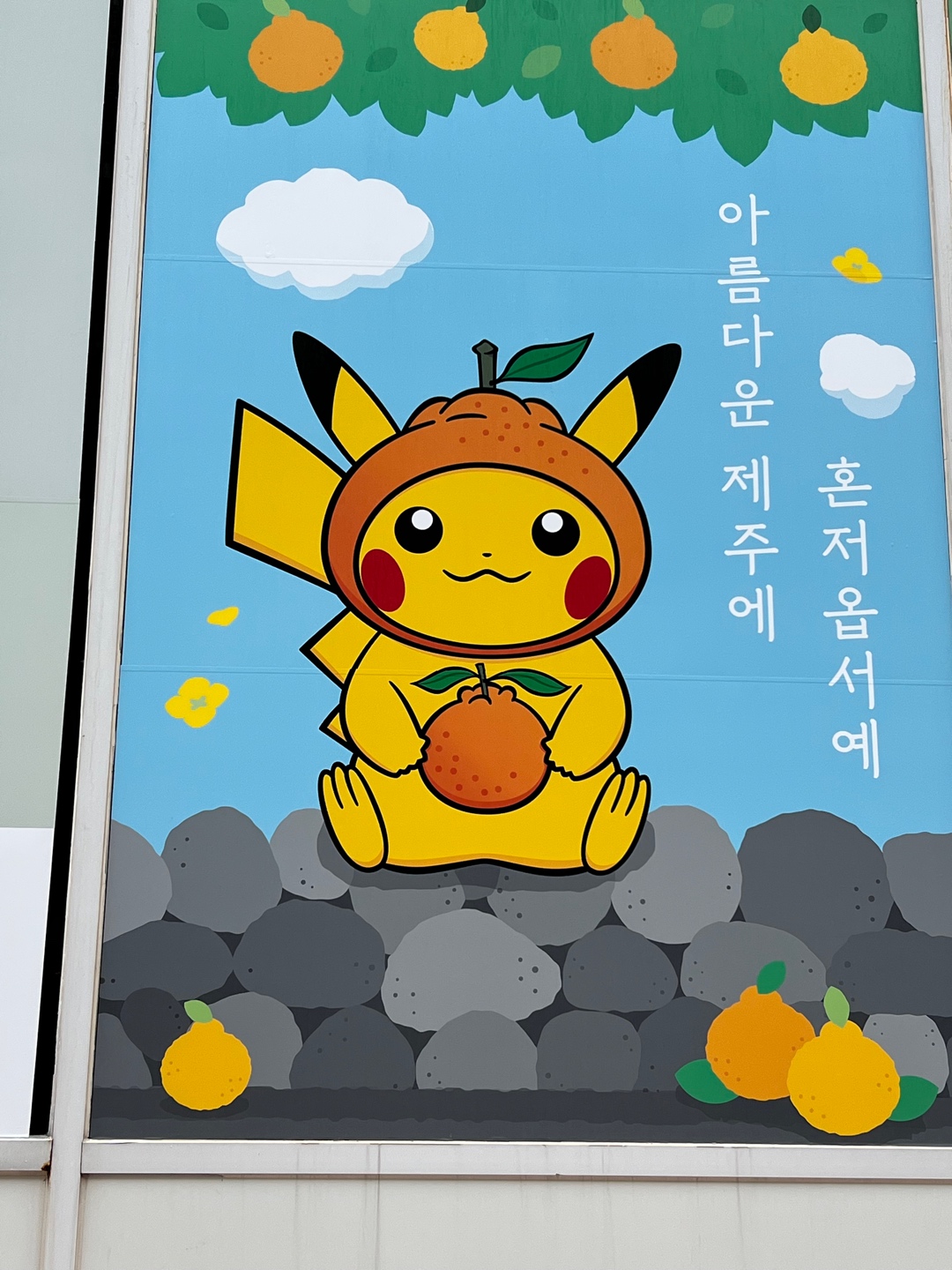 포켓몬 스토어 제주