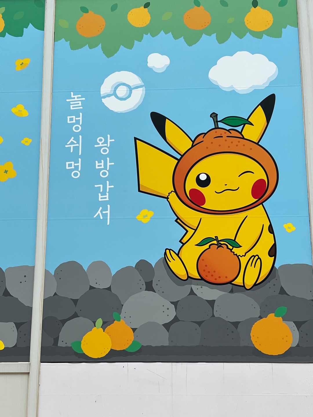 포켓몬 스토어 제주