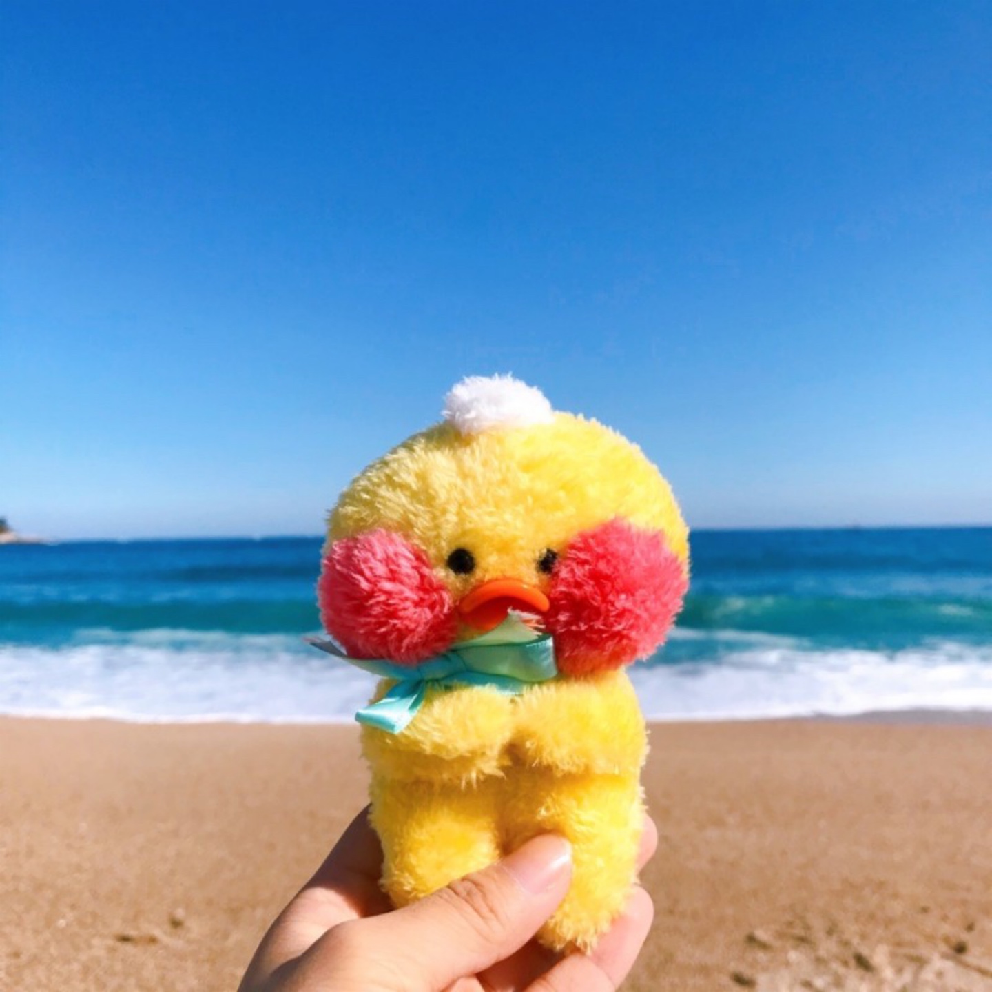 #꽁냥꽁냥 빵빵덕
