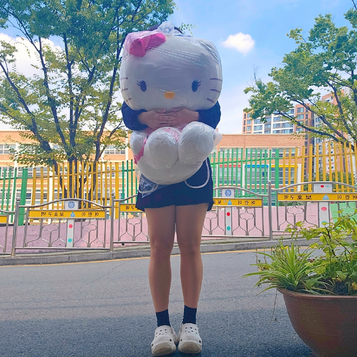 초대형 제주키티아일랜드 키티인형