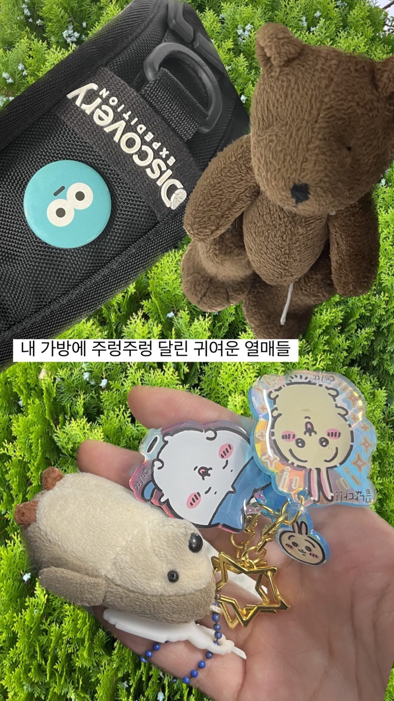 주렁주렁 열매들🎄