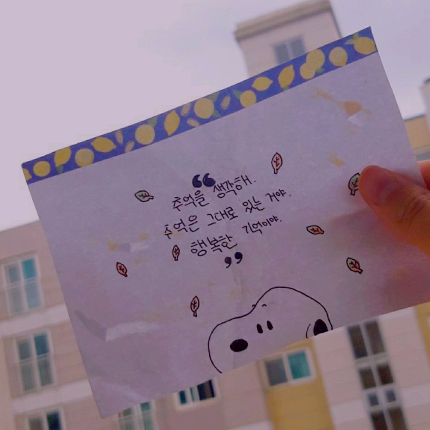 제목 없음