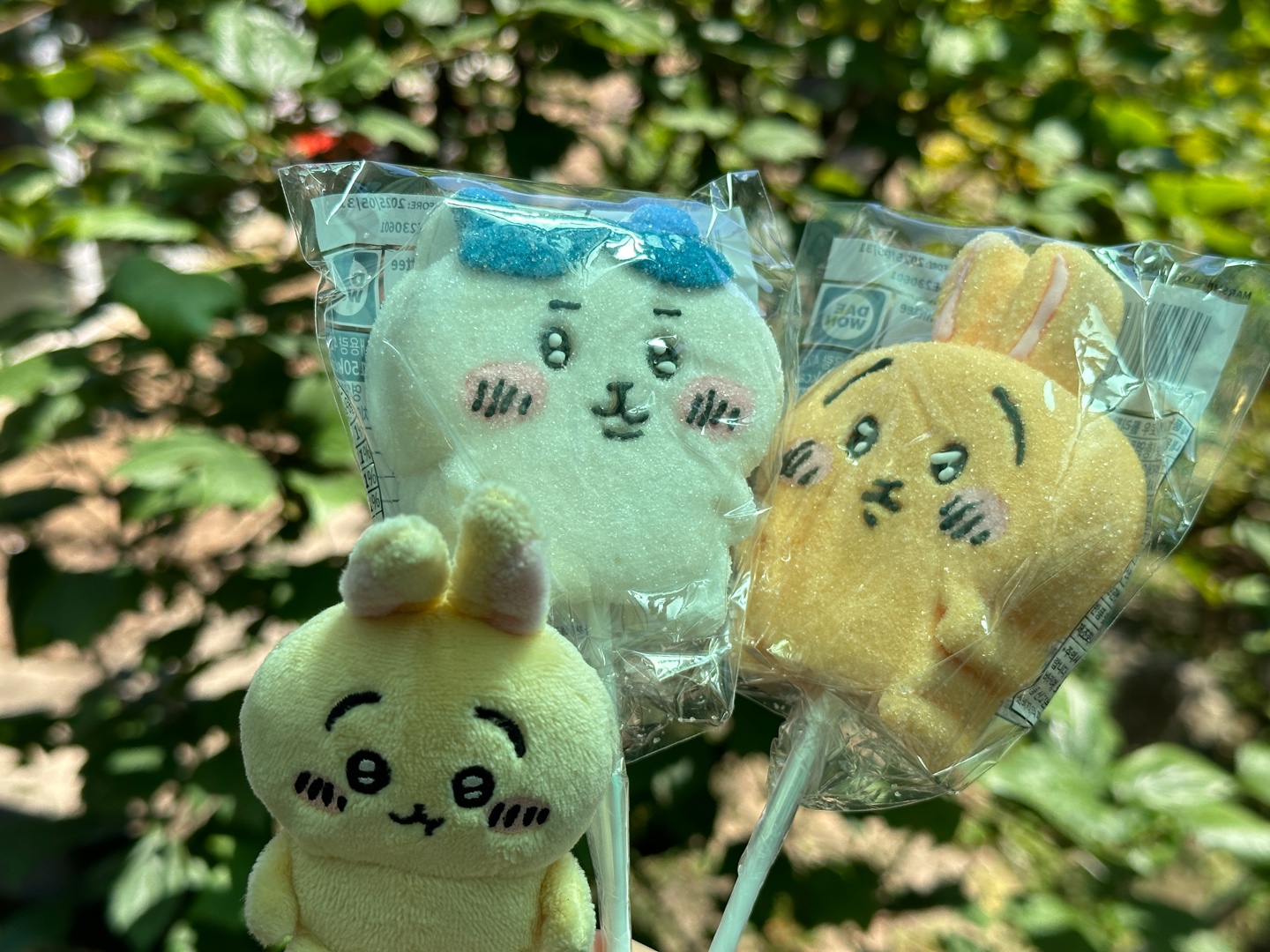 [먼작귀] 마시멜로우는 구워야죠 ✨
