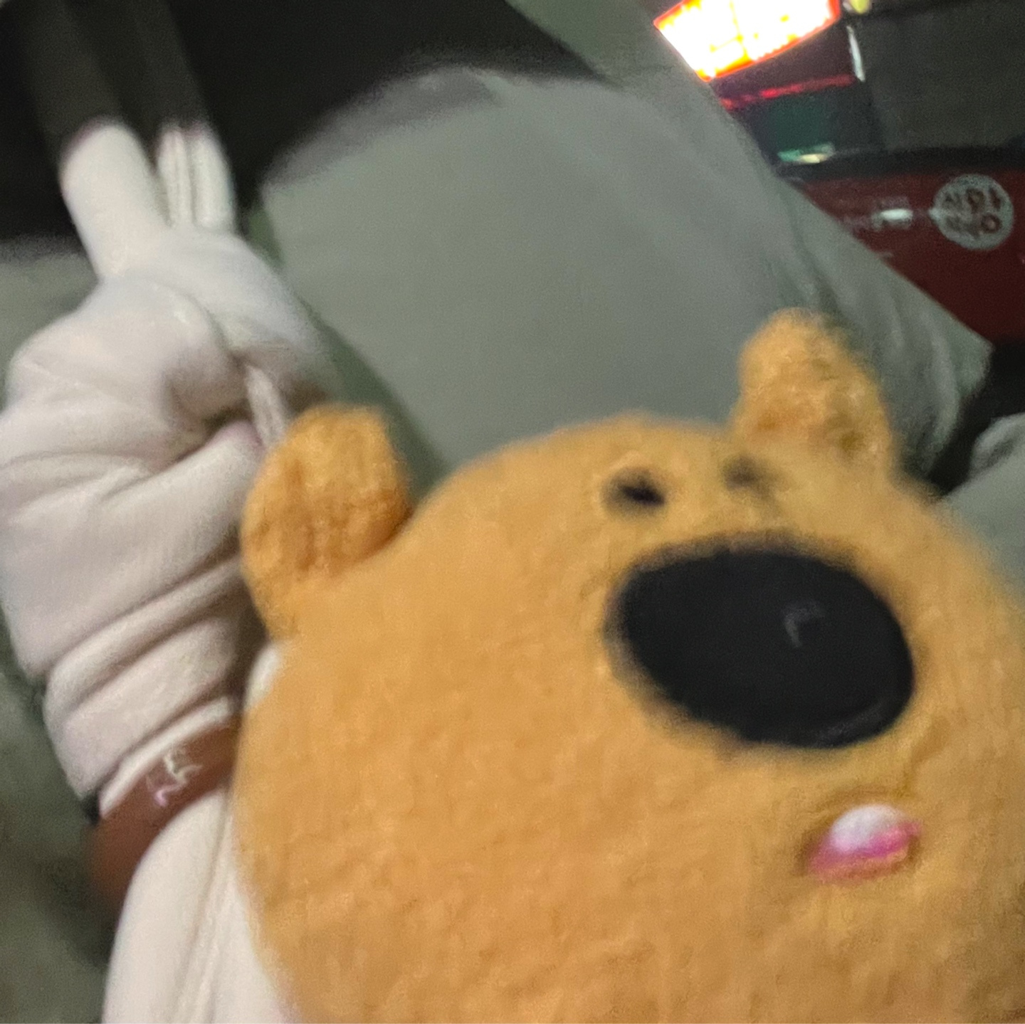 🤎출퇴근 친구 왕코카🐻