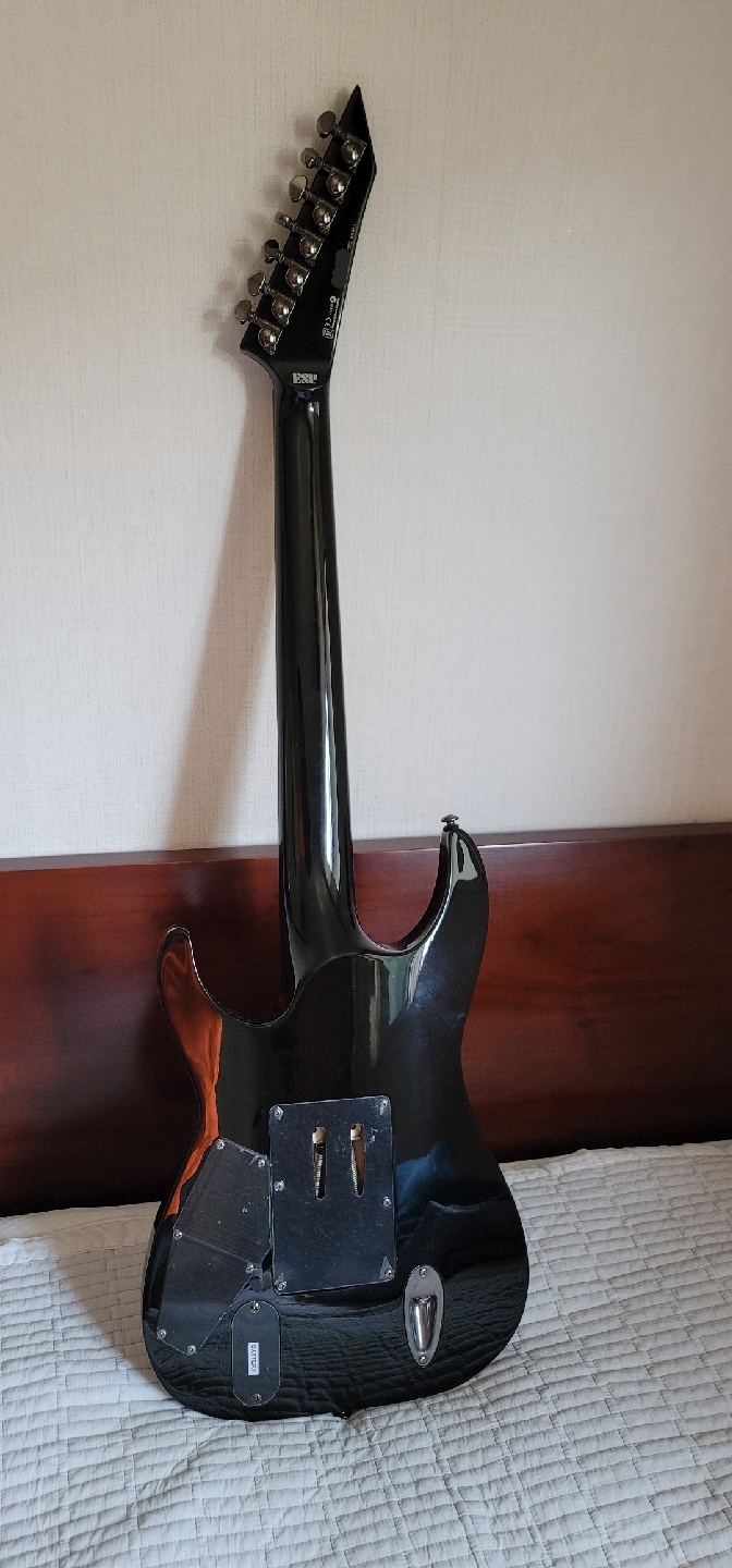 LTD  Buz Mcgrath signature guitar 7-strings)