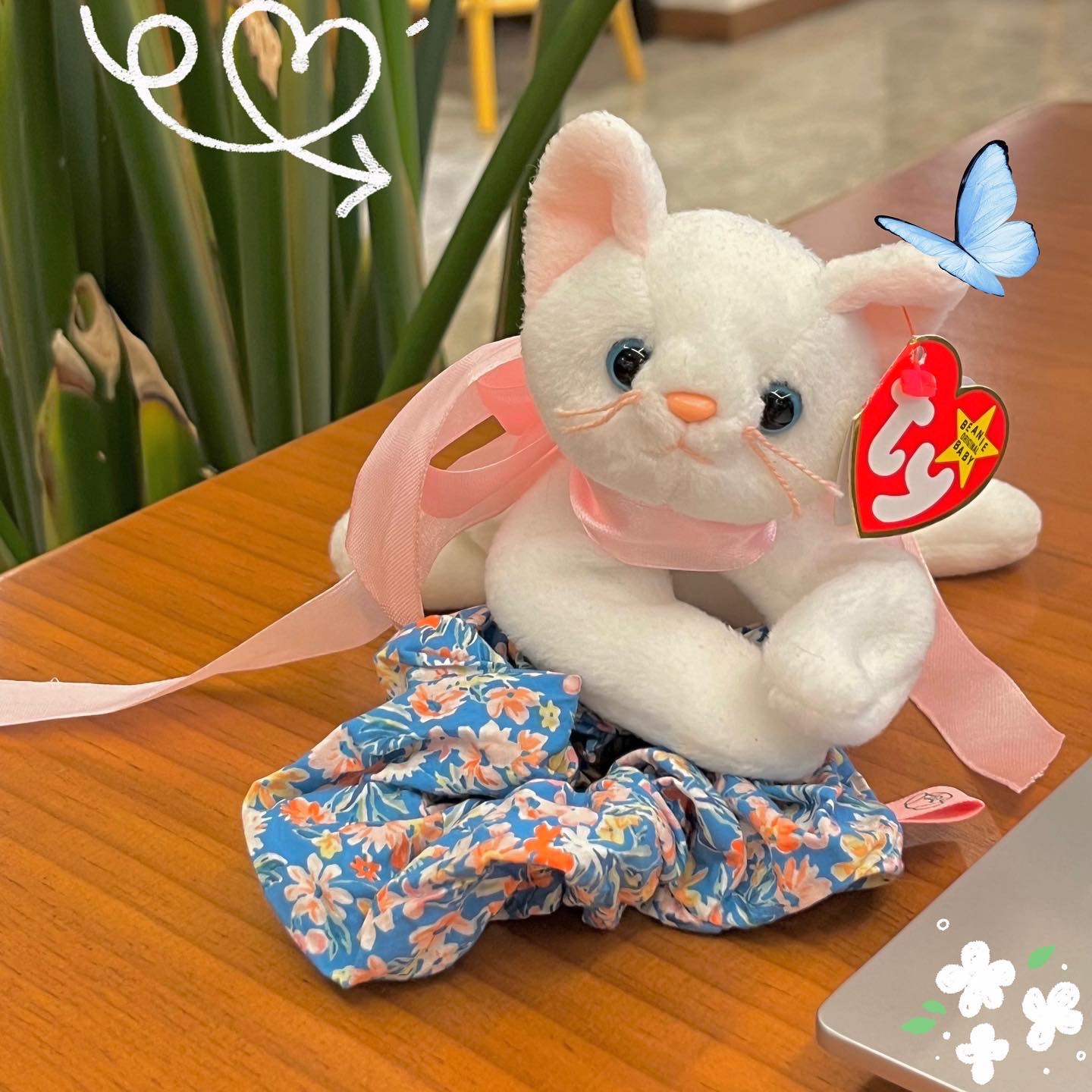 🤍🩵 나도 고양이 집사하고 싶다 ..🐈