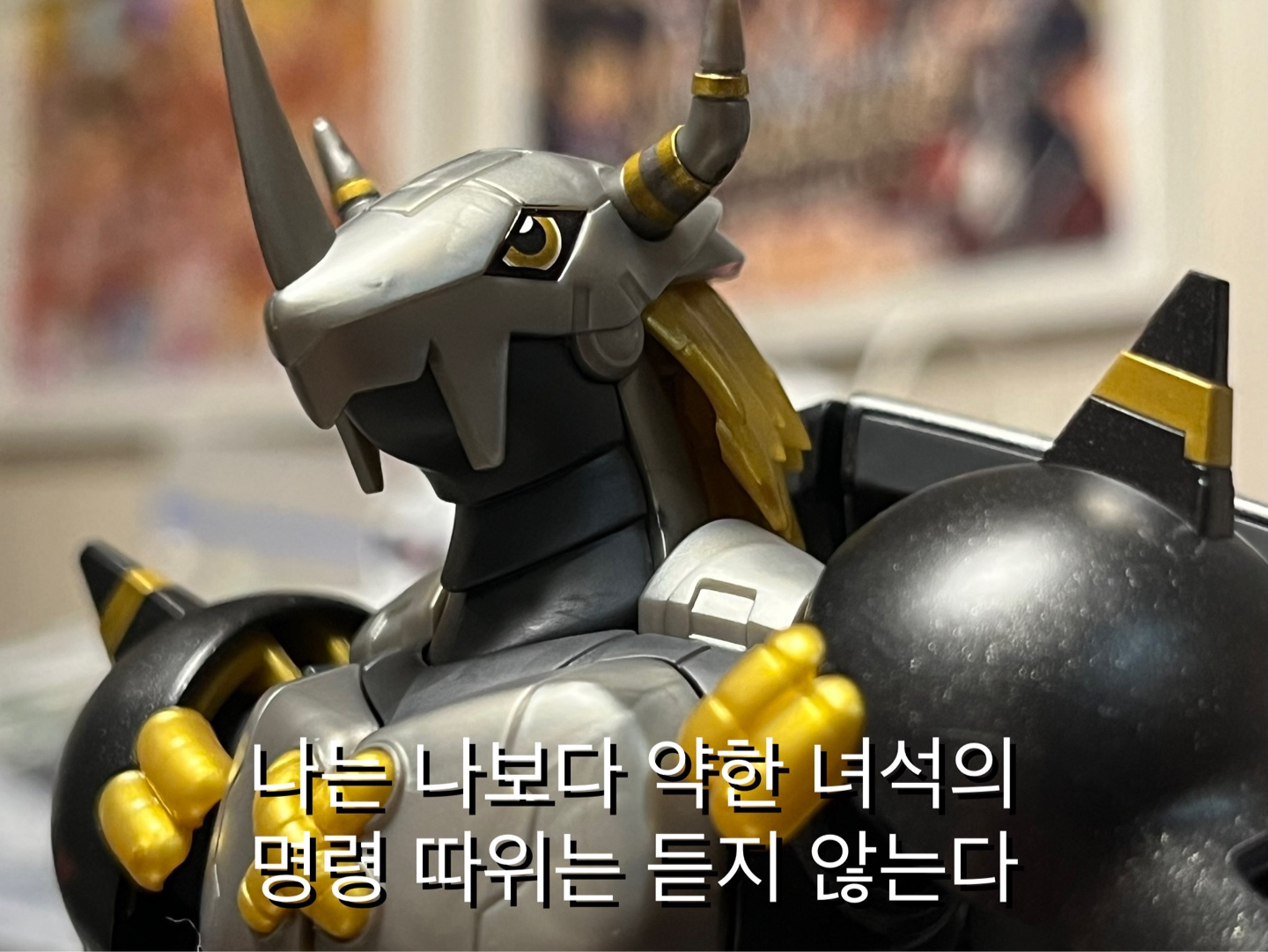 FRS 블랙 워그레이몬