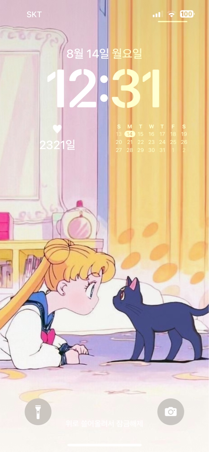 폰꾸 세일러문
