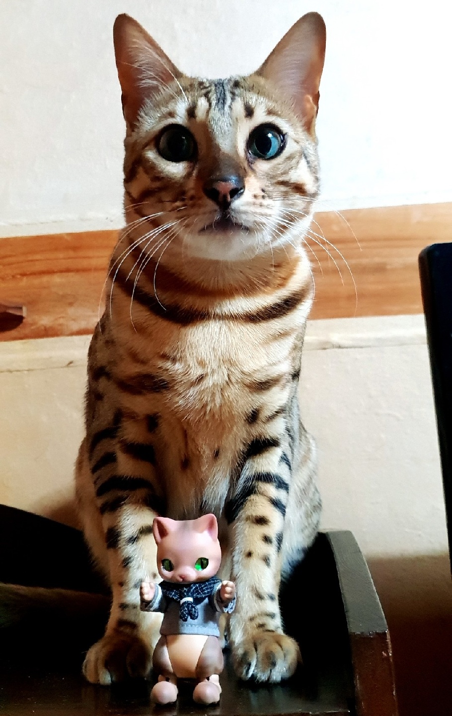 주인님과 인형🤣