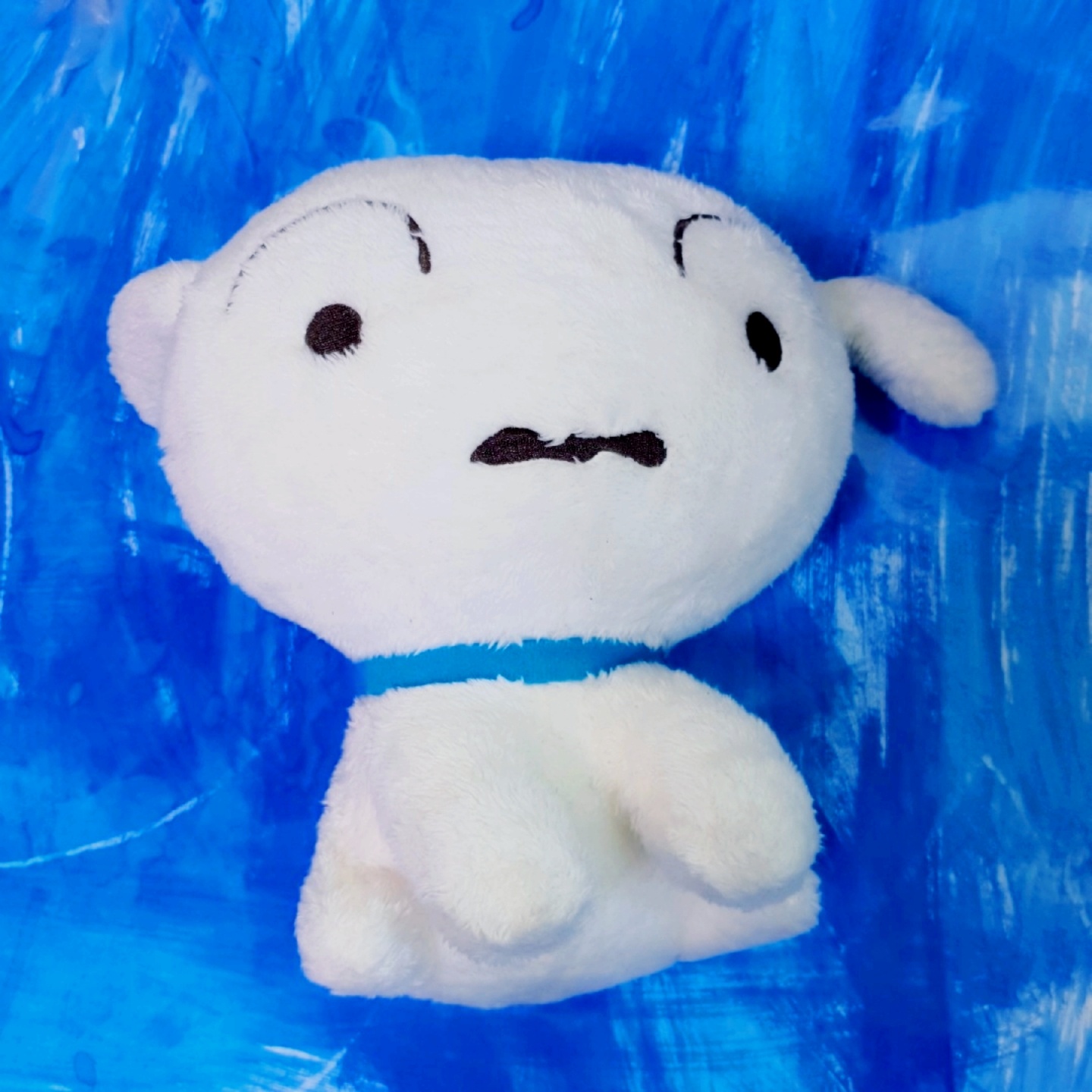우리집 흰둥이