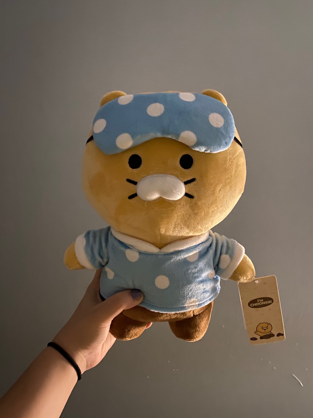 새로운 춘식이 입양