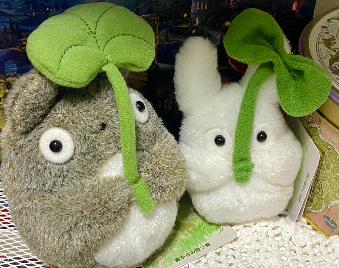 토토로와 소토토로🌱🍃🌿