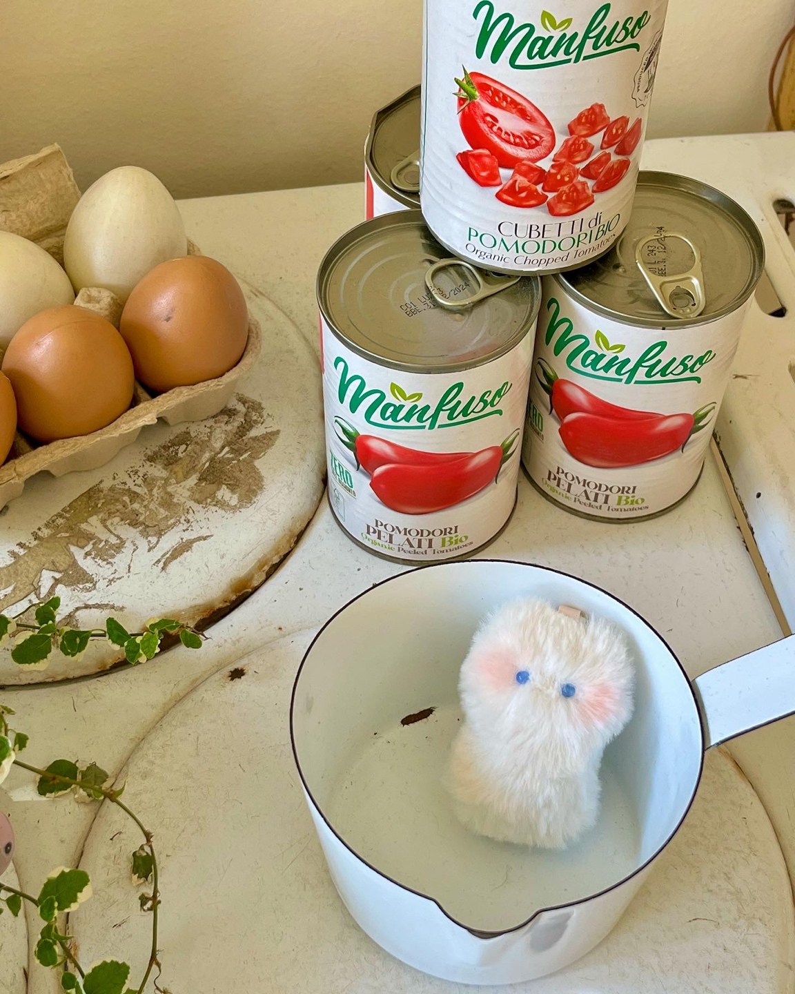꼬랑지의 정체는..?!