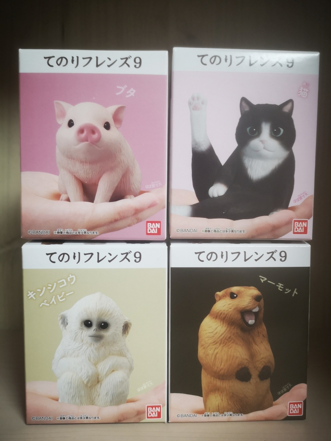 테노리 프렌즈 9