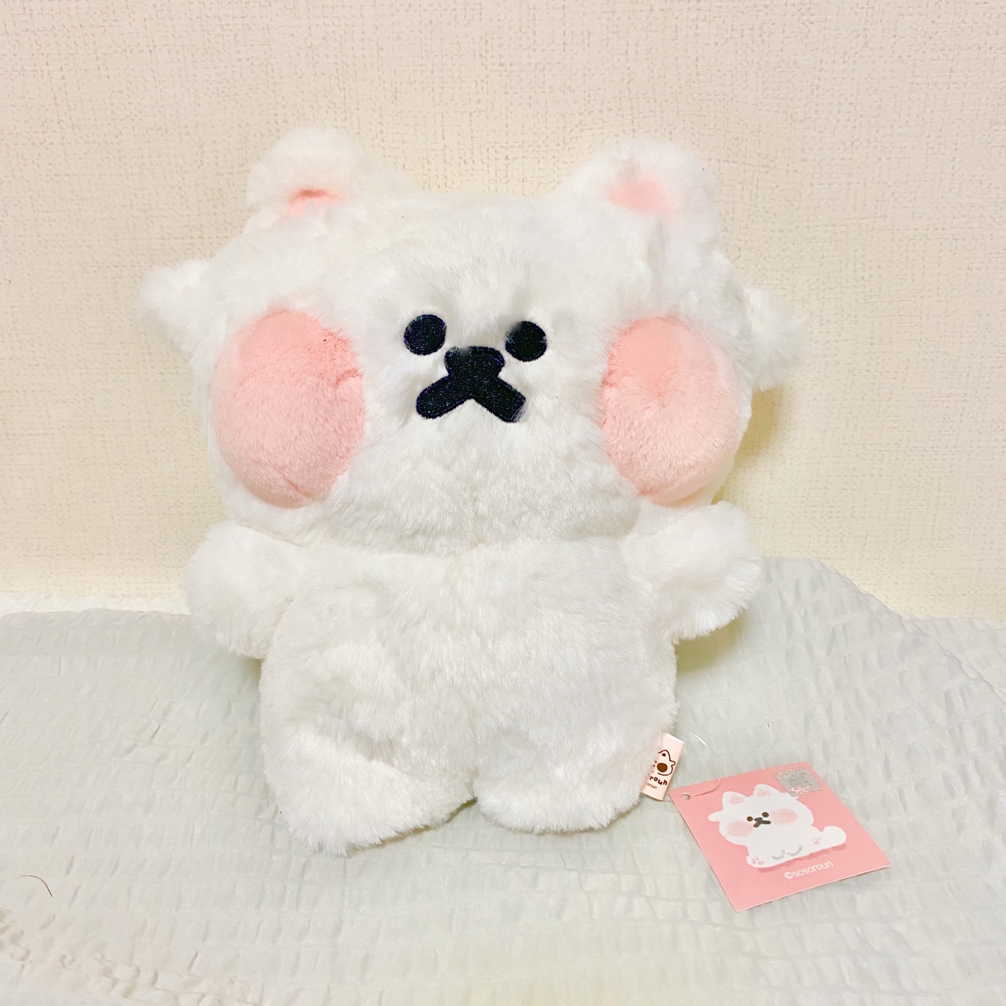 볼 빵빵 뽀양이