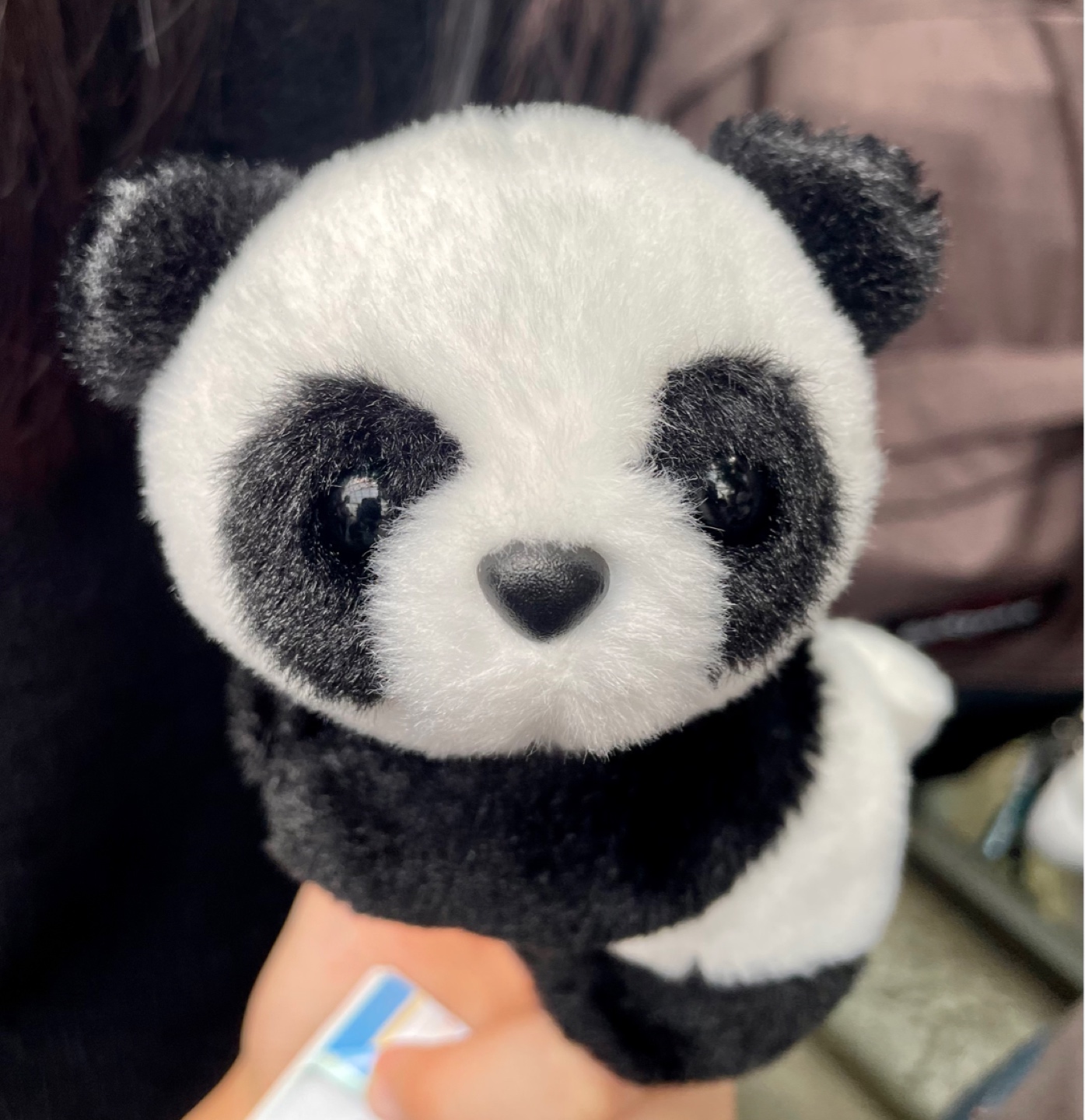 푸바오