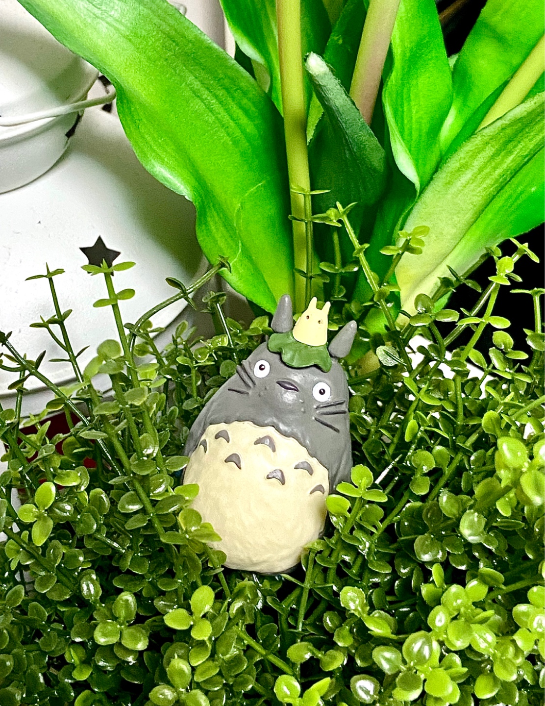 숲속의 토토로☘️🌿🍃