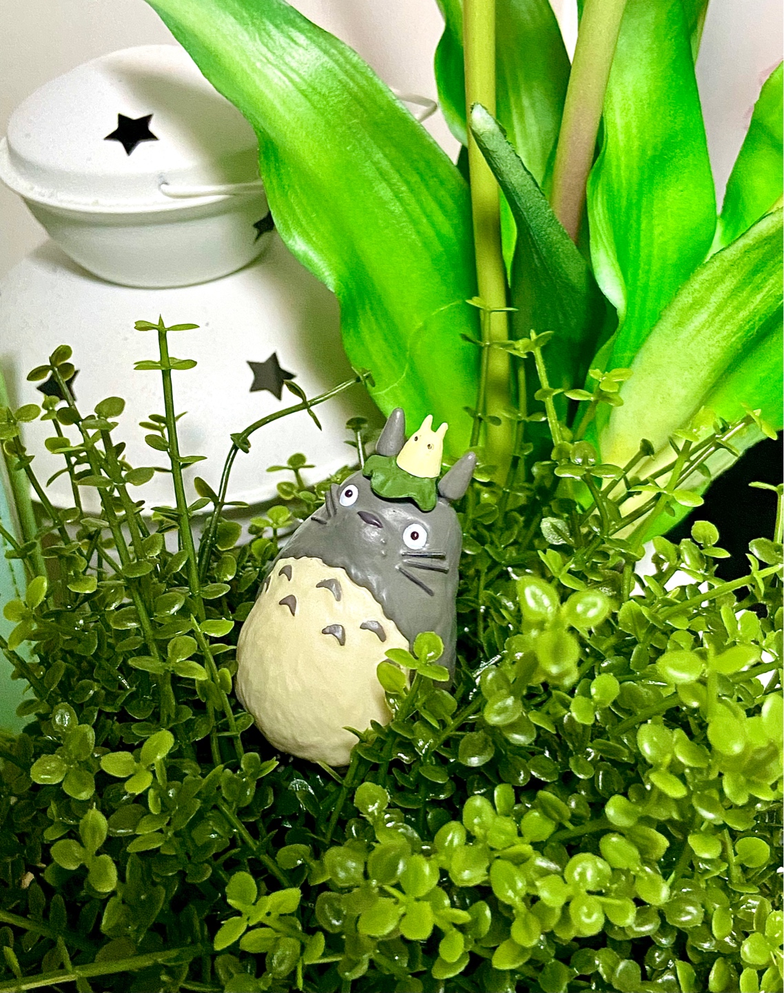 숲속의 토토로☘️🌿🍃