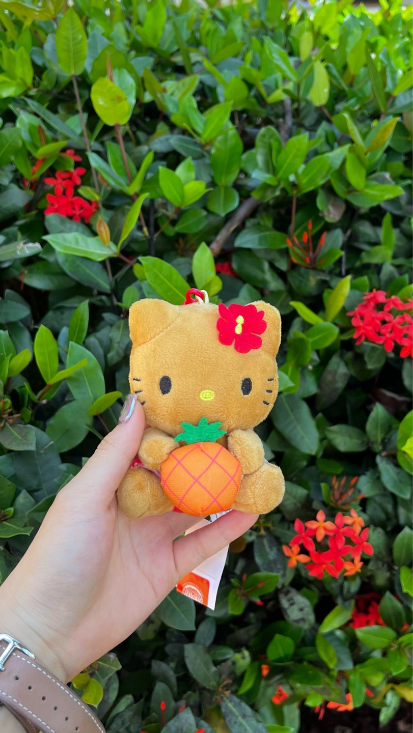 🍍Dole kitty🍍