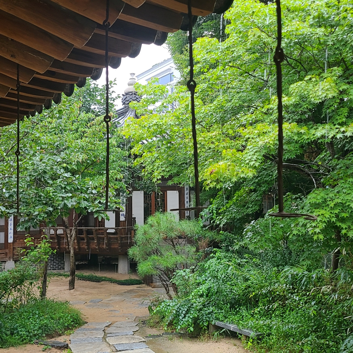 여름의 끝자락 🌿