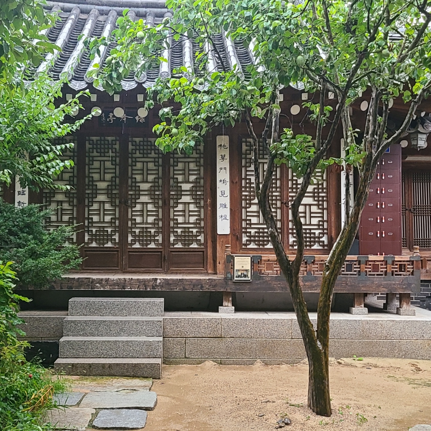 여름의 끝자락 🌿