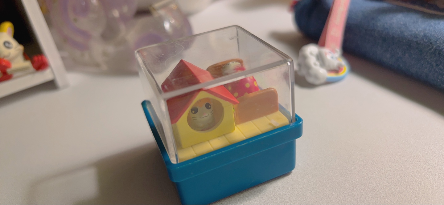 햄토리🐹