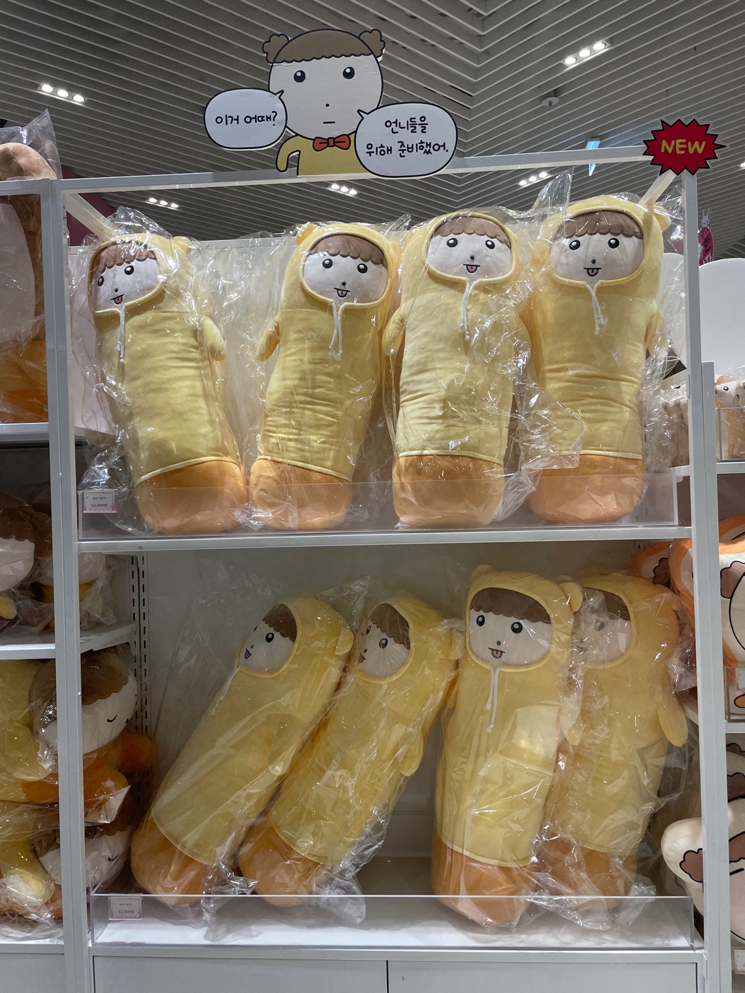 마루 춘배 팝업