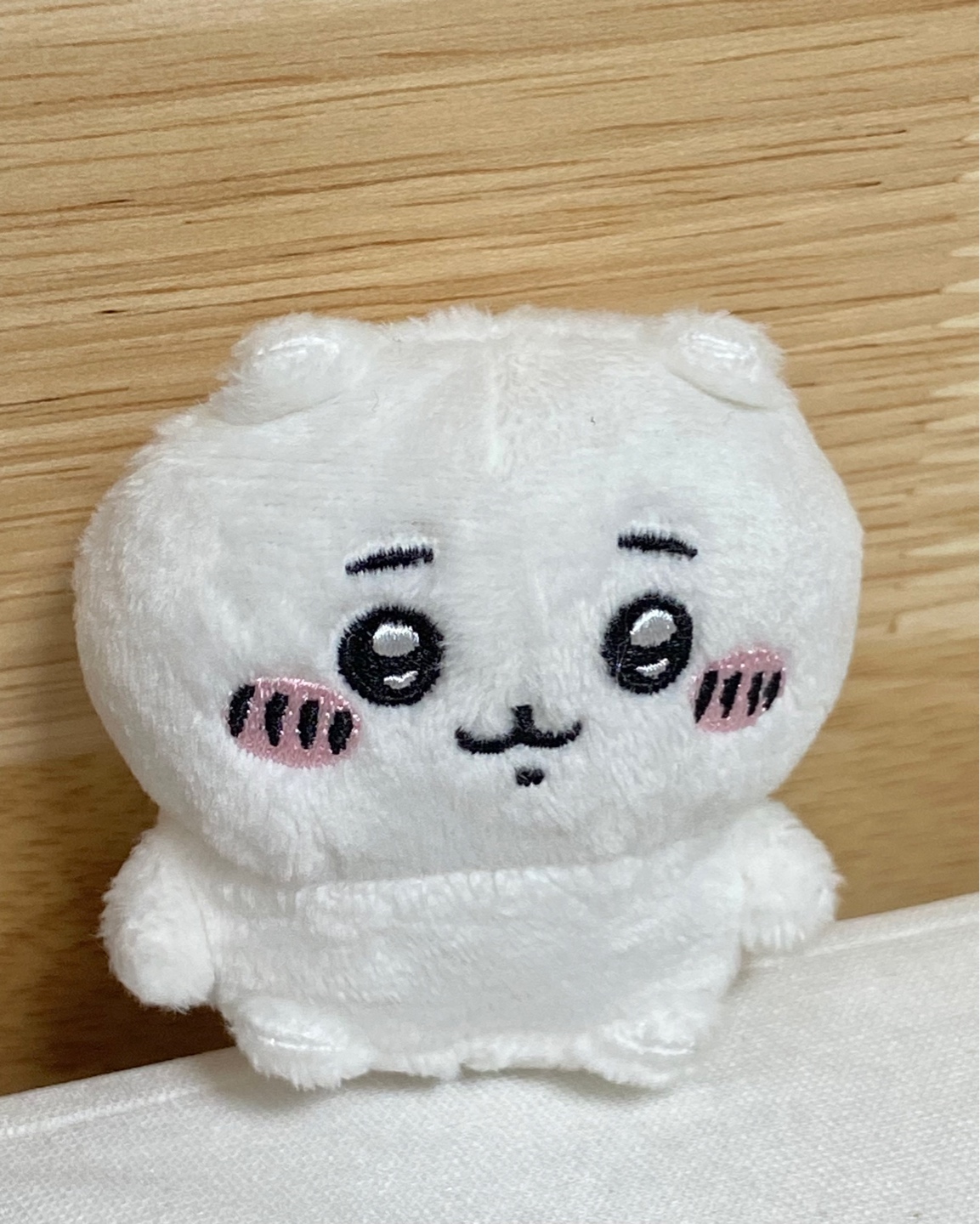 치이카와 🥹🤍