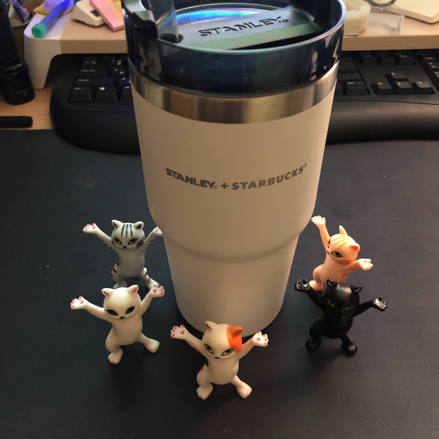 Stanley+Starbucks 텀블러