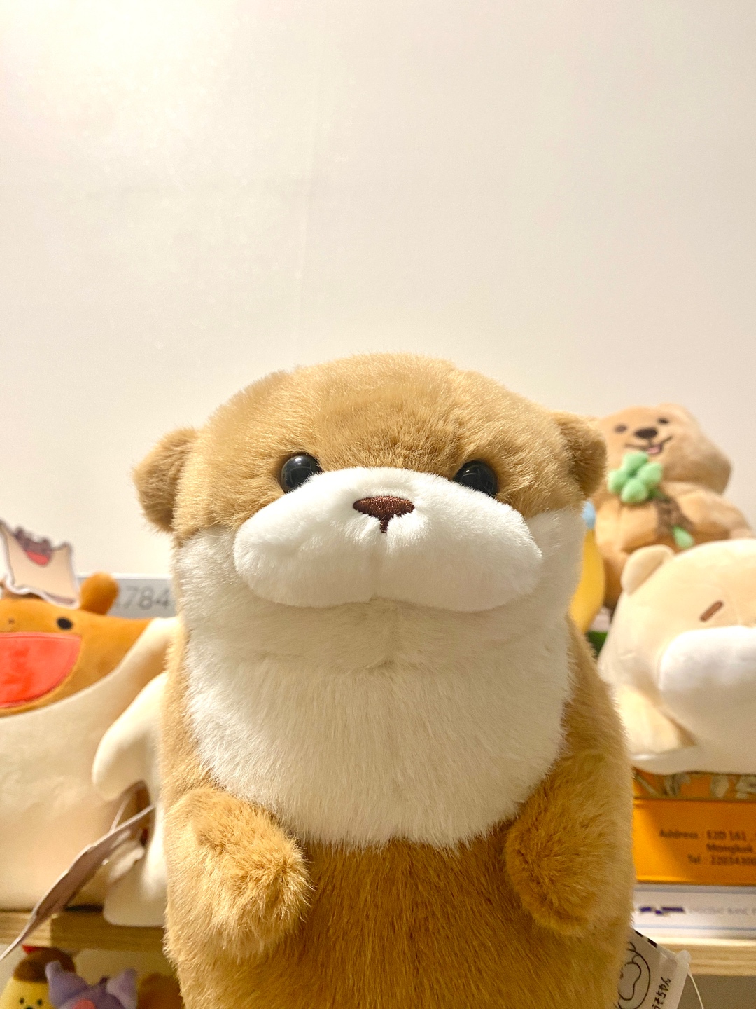 우소우소짱 데려왔어요🦦