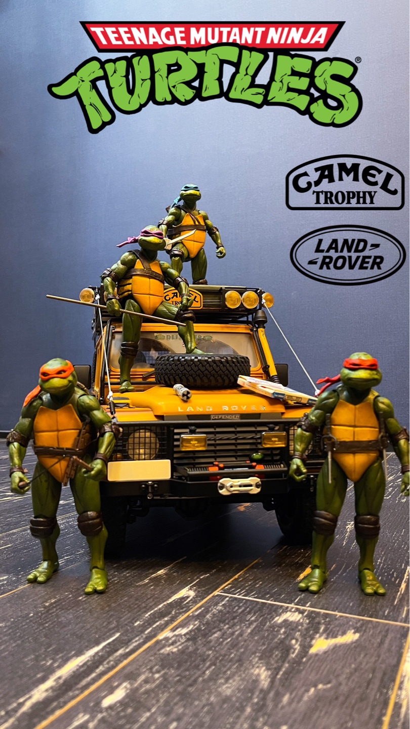 Ninjaturtles 
Defender