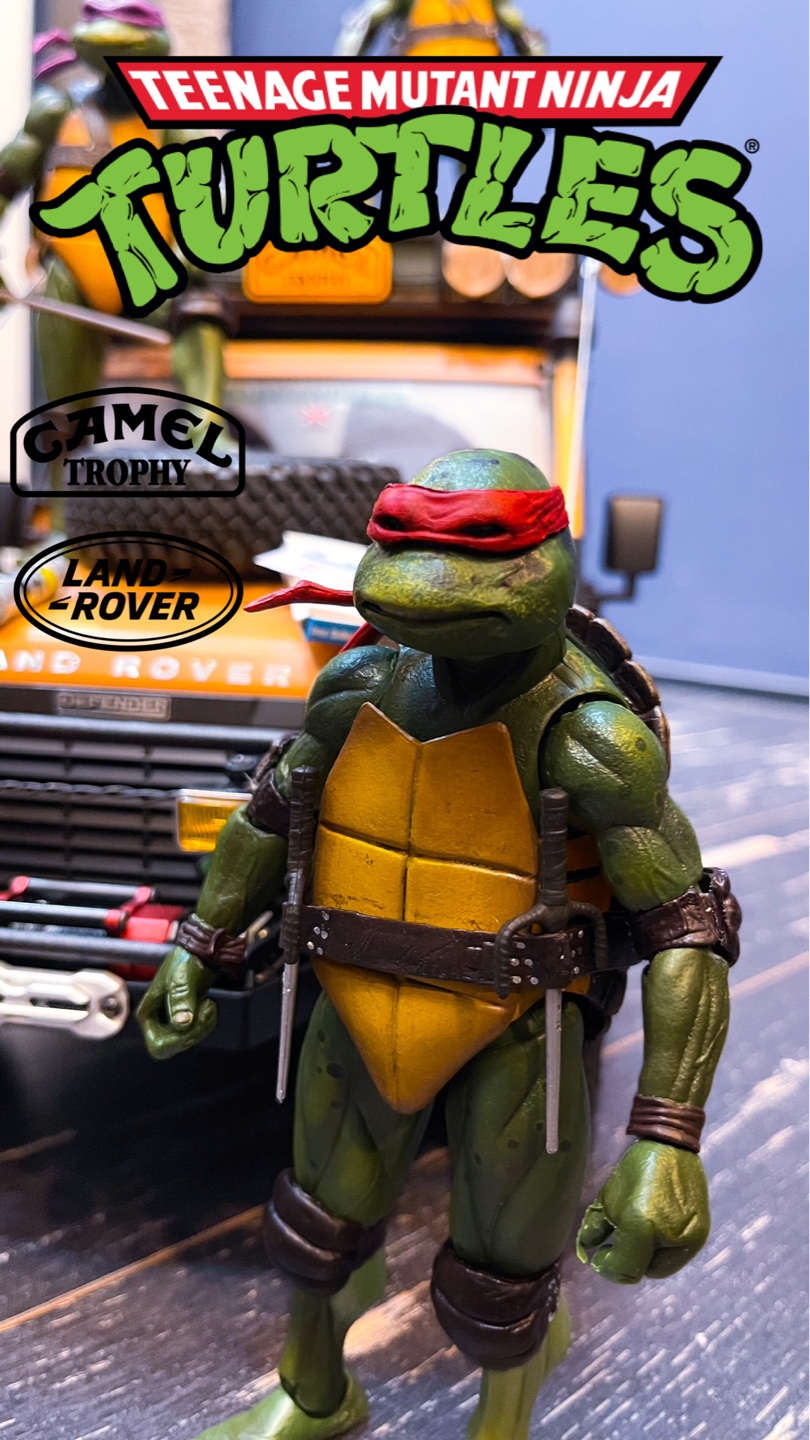Ninjaturtles 
Defender