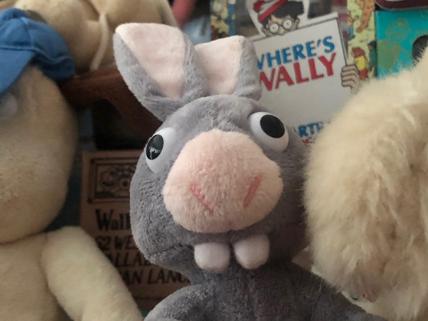🐰 