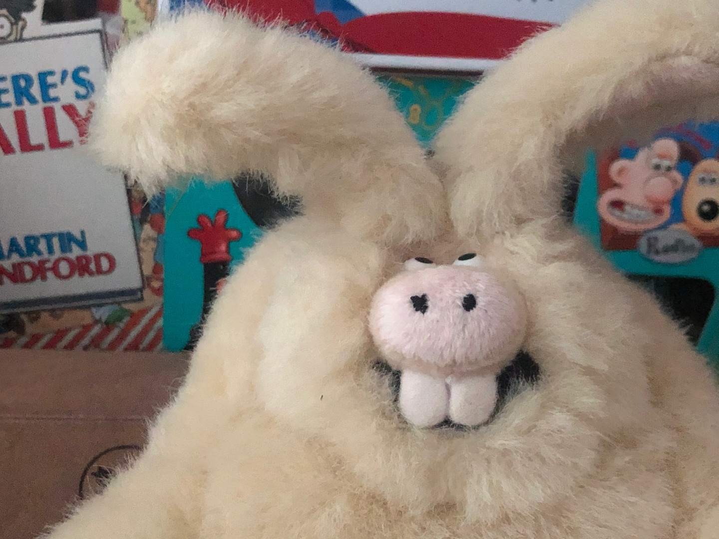 🐰 