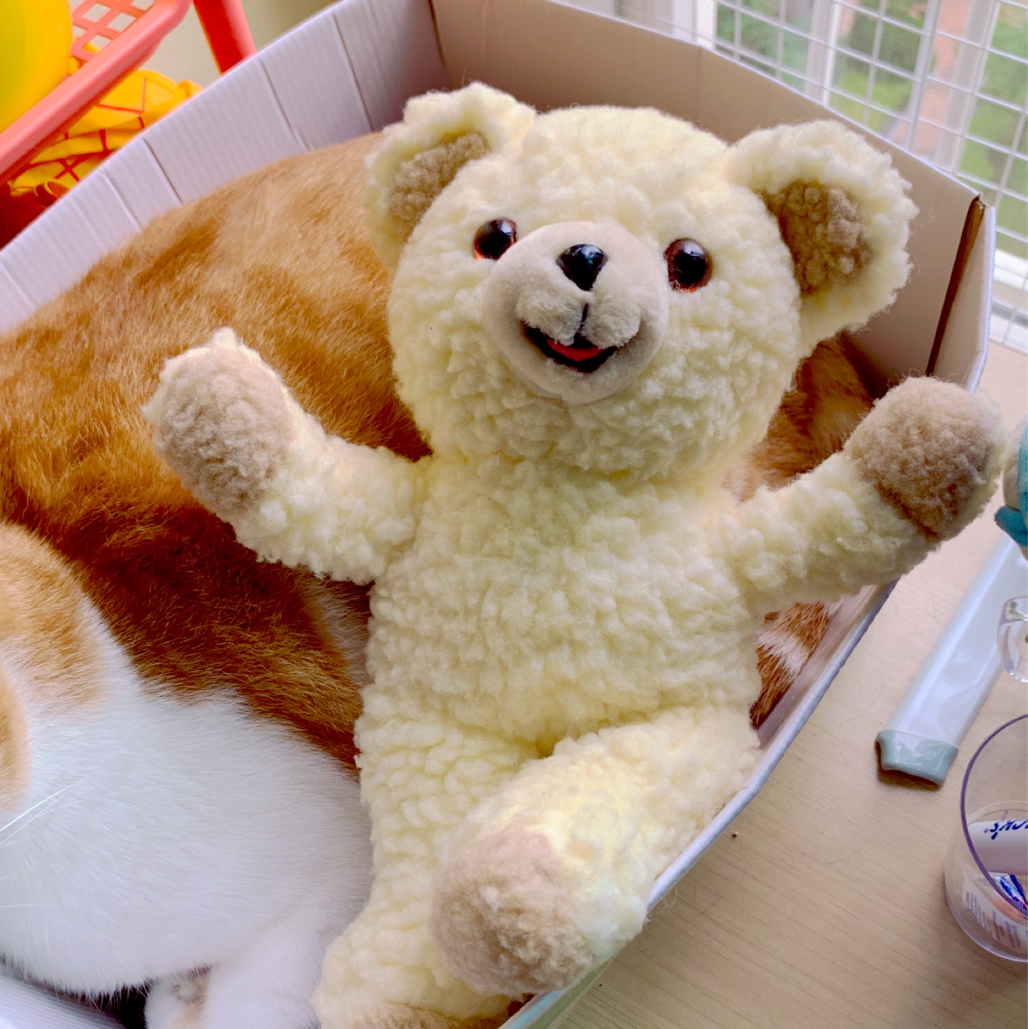 snuggle bear 