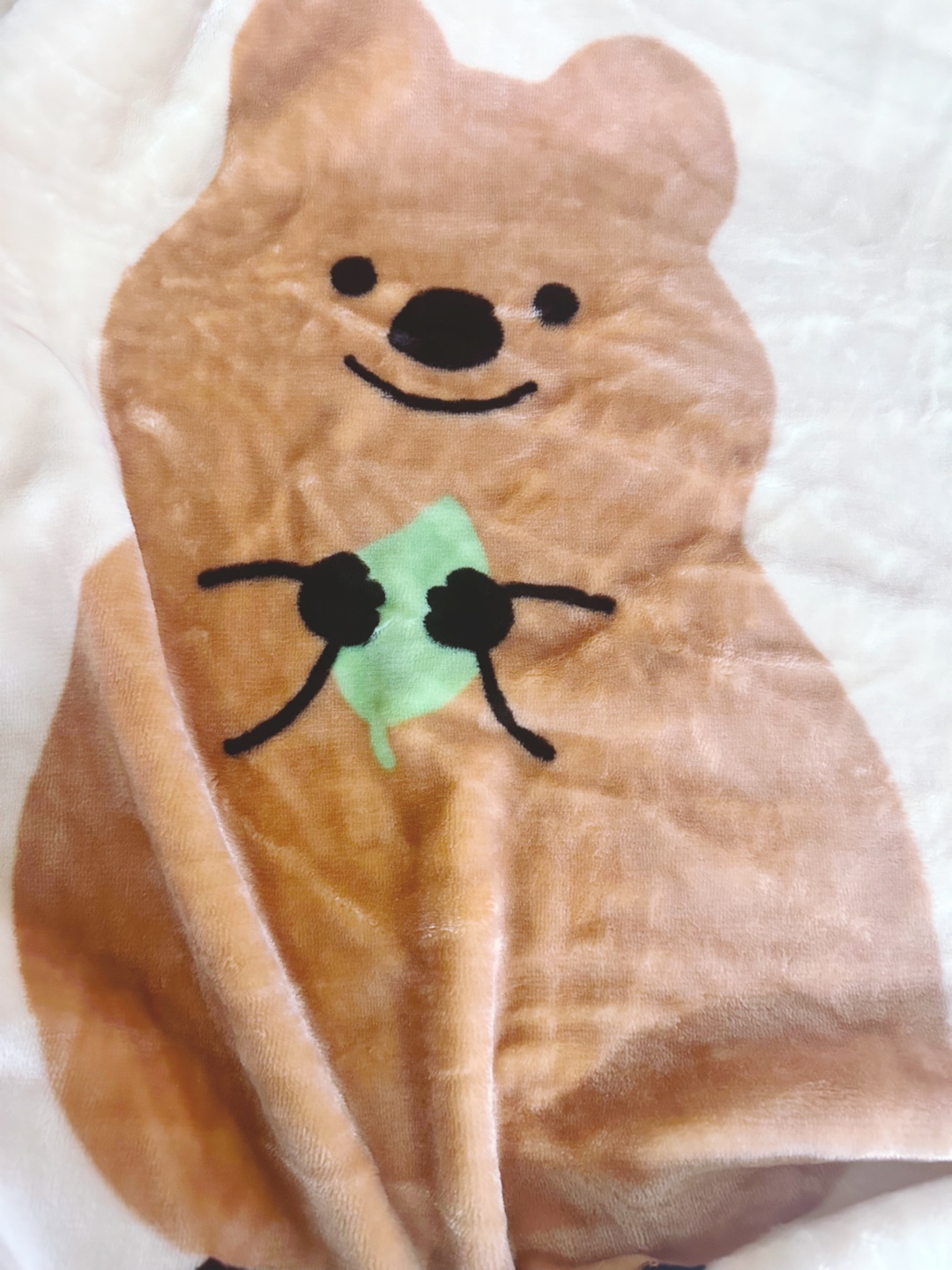 로피 언니의 쿼카 담요 후기 ✨🐨