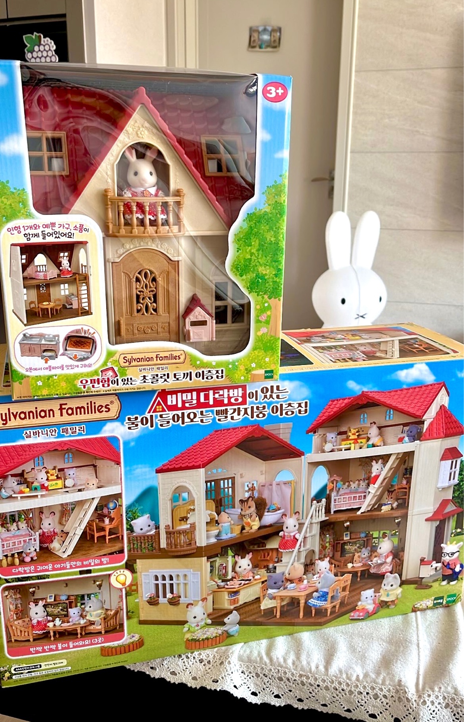 토이트론에서 열린 | 콜리(Colley)