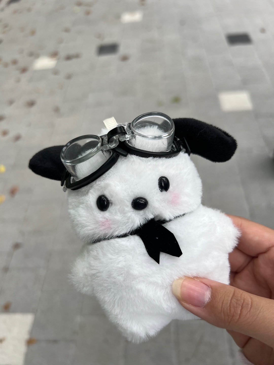 [추석미션] 뺏기고 싶지 않은 포차코🐶
