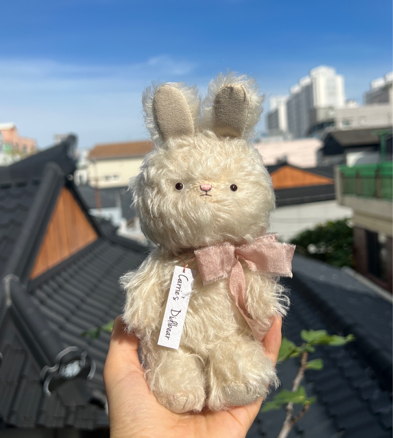 왕먼지토끼
