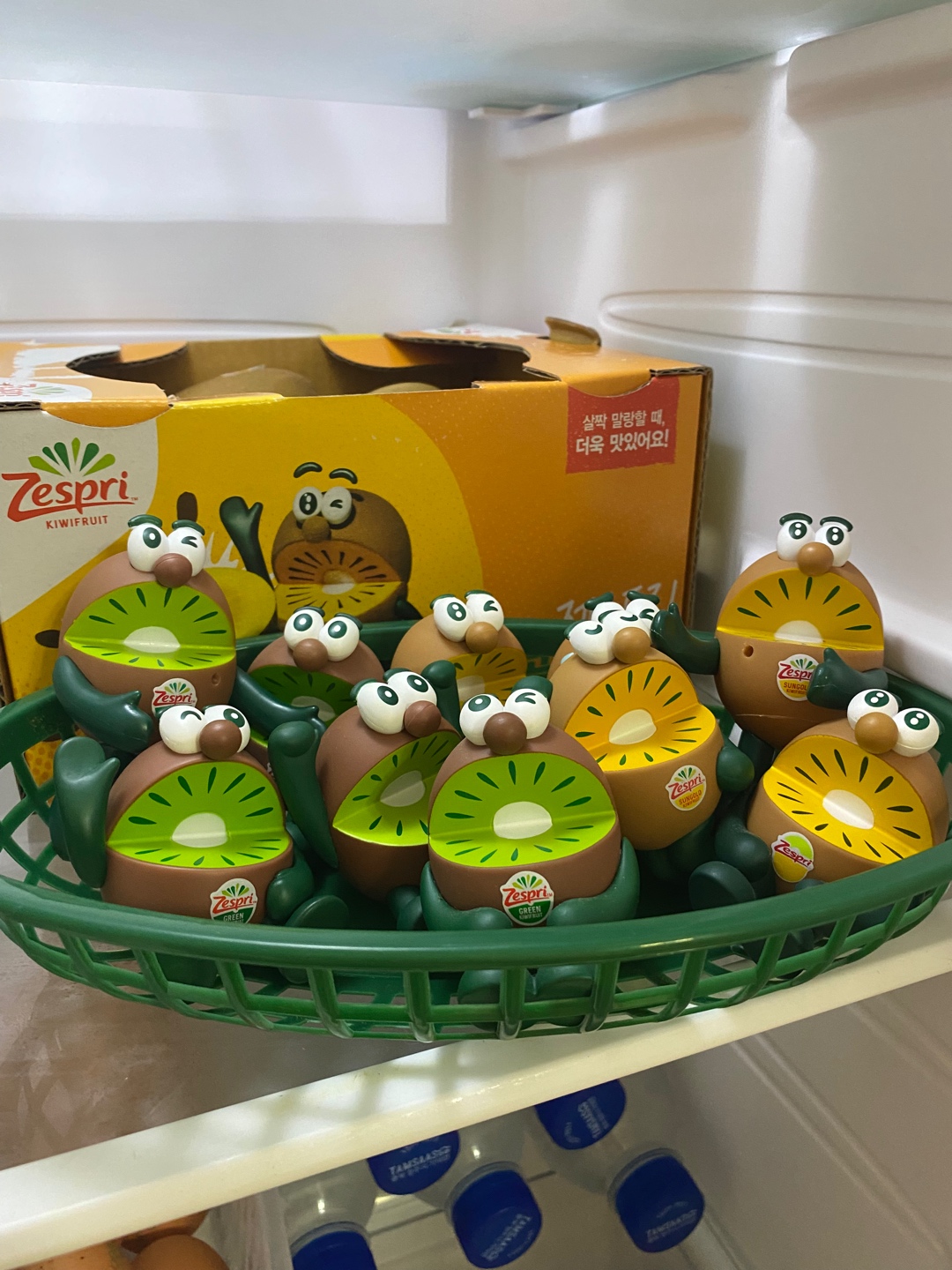 제스프리키위브라더스🥝💚