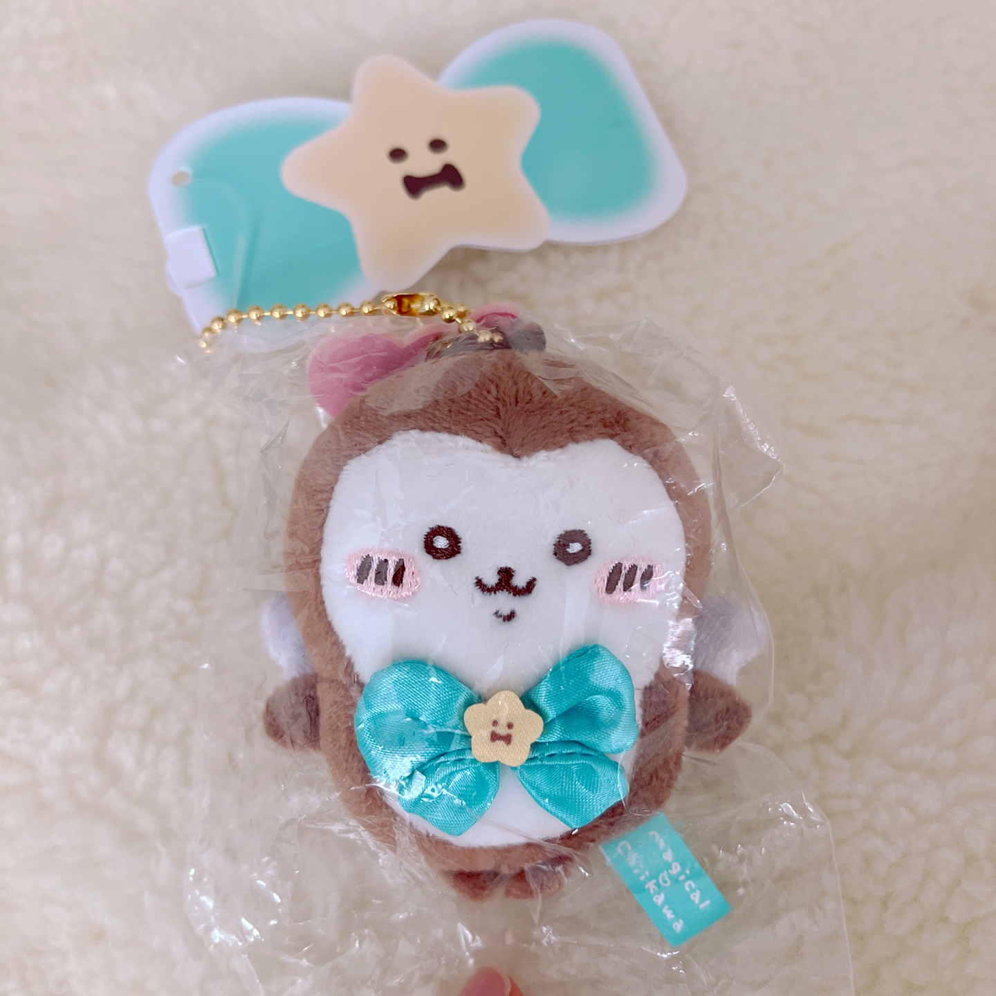 치이카와 풍뎅이