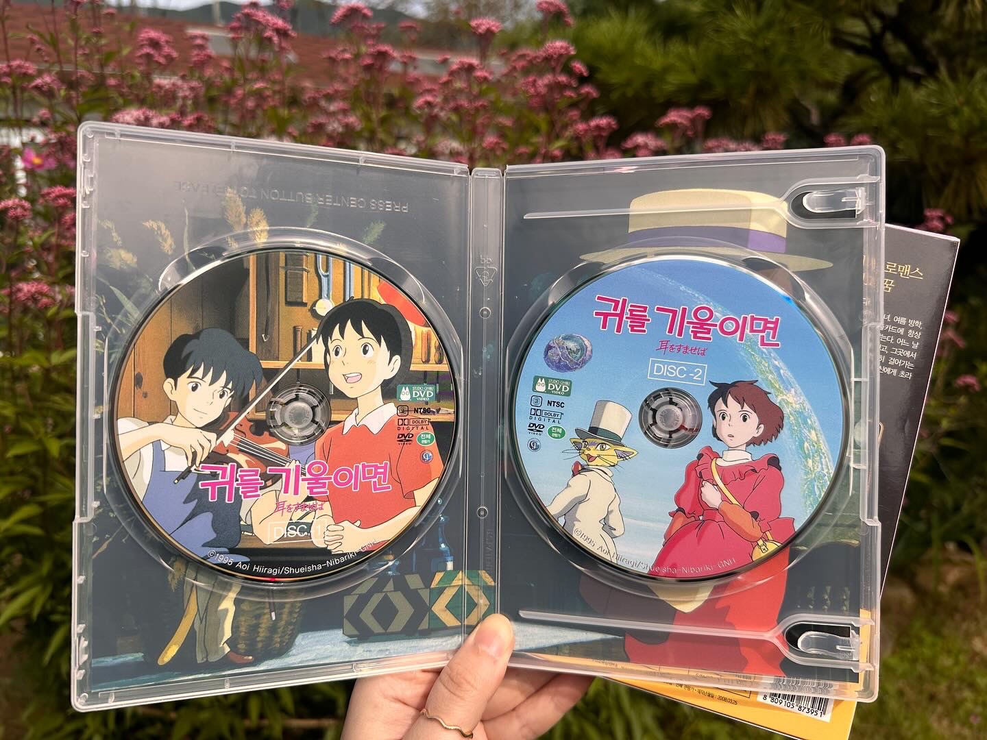 [지브리] 귀를 기울이면 dvd 😃💗